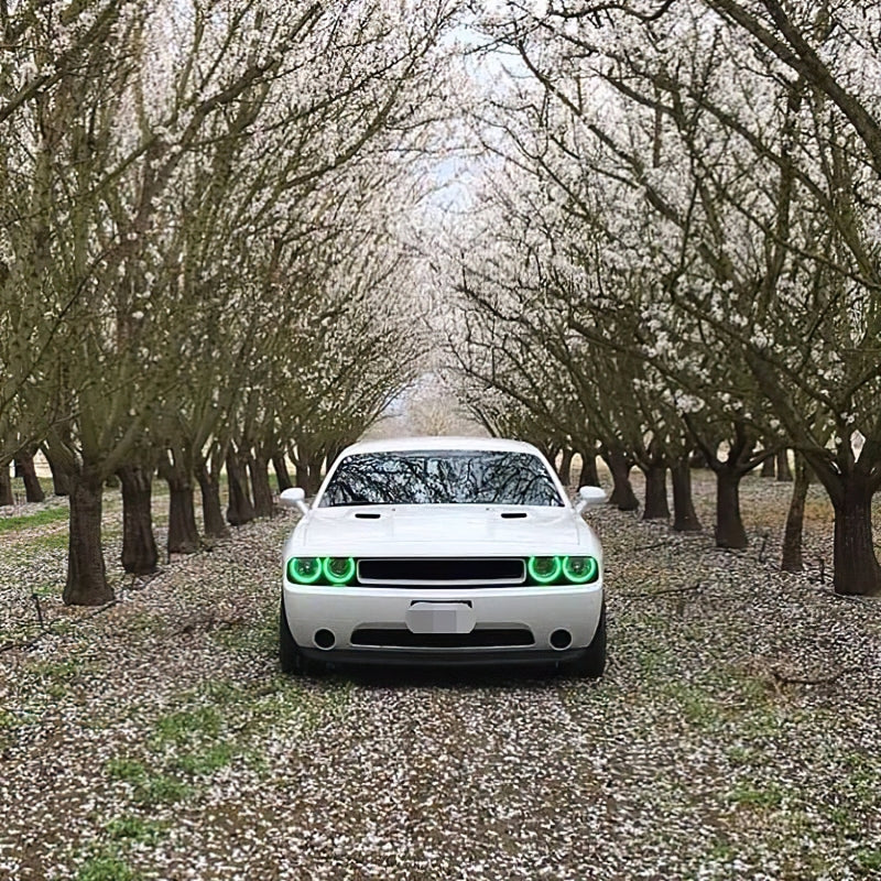 Oracle 08-14 Dodge Challenger LED Projector Headlight Halo Kit - Green