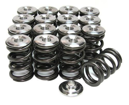 GSC P-D Universal Valve Spring