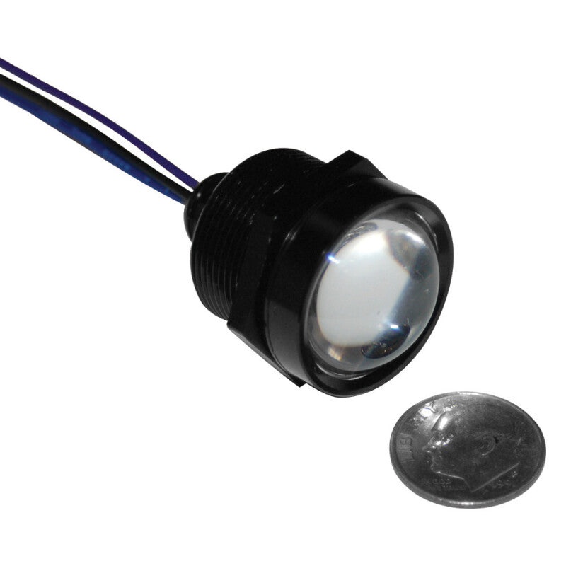 Letric Lighting Royal Flush LED 1in Black/Red