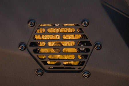 Photo - Close Up