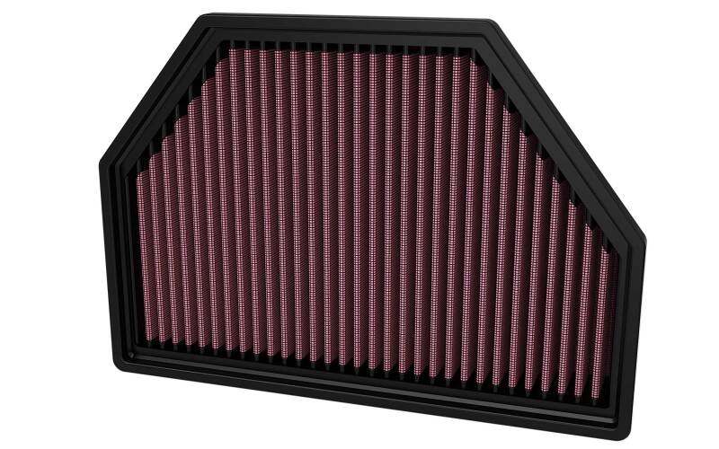 K&N Ford F150/F250/F350 09-24 Exped 07-24 Lin Nav 07-24 Advantage Air Filter