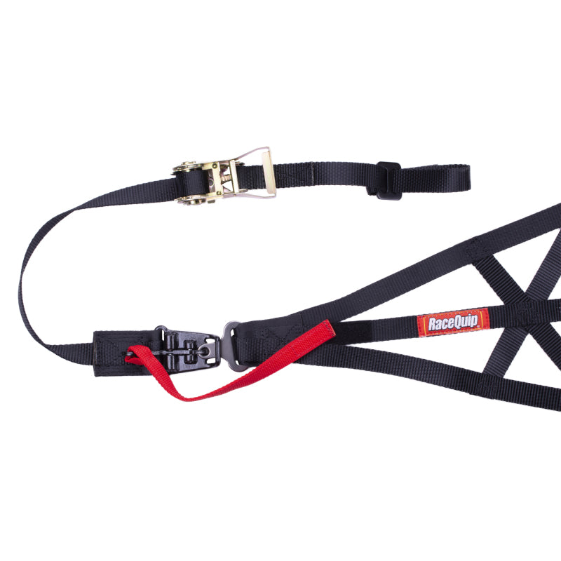 RaceQuip Black SFI 37.1 Side Roll Cage Net