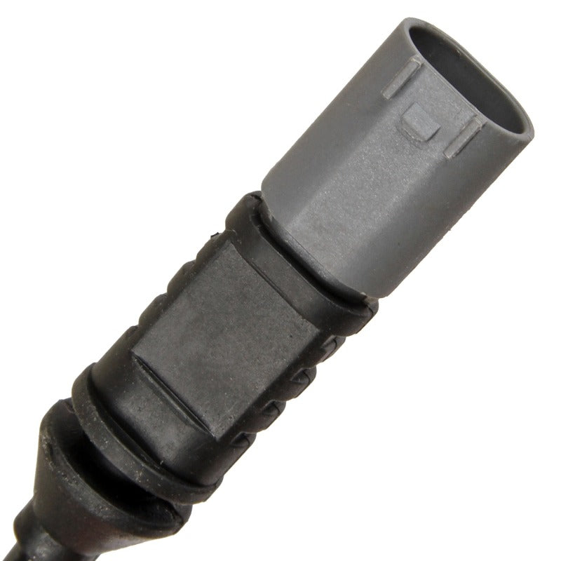 Photo - Close Up