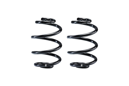 Eibach EMS Rear Spring Kit
