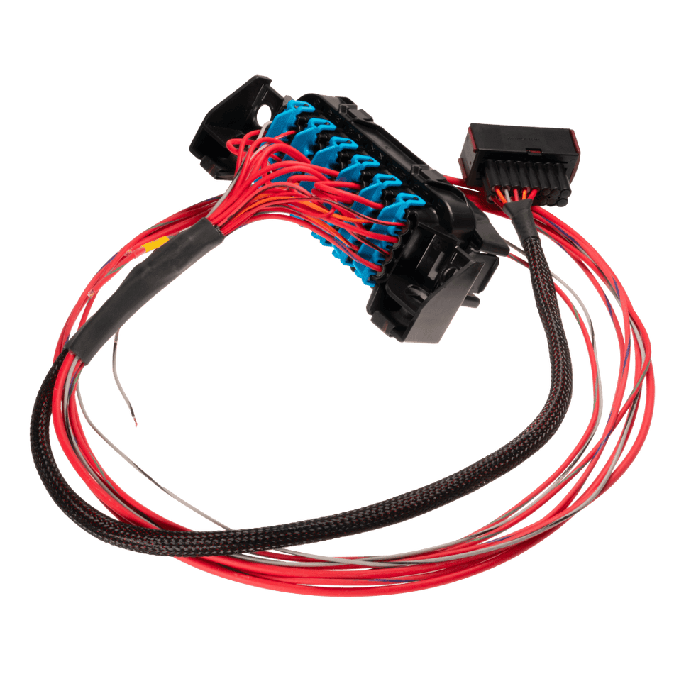 Link ECU LS Harness - Fuse and Relay Box