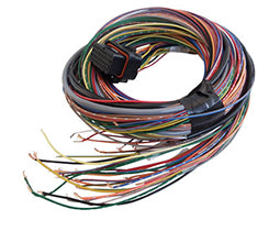 Link ECU A Loom Medium (2LA)