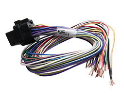 Link ECU B Loom Short (0LB)