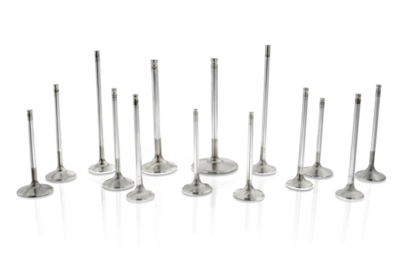 Ferrea Chevrolet SB 1.6in 11/32in 5.3in 0.25in 12 Deg S-Flo Comp Plus Exhaust Valve - Set of 8