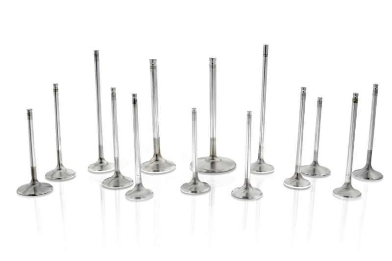 Ferrea Chevrolet BB 1.94in 11/32in 5.5in 0.25in 22 Deg Competition Plus Exhaust Valve - Set of 8