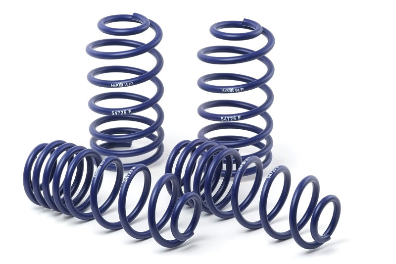 H&R 94-96 BMW M3 3.0L E36 Race Spring (Non Cabrio)