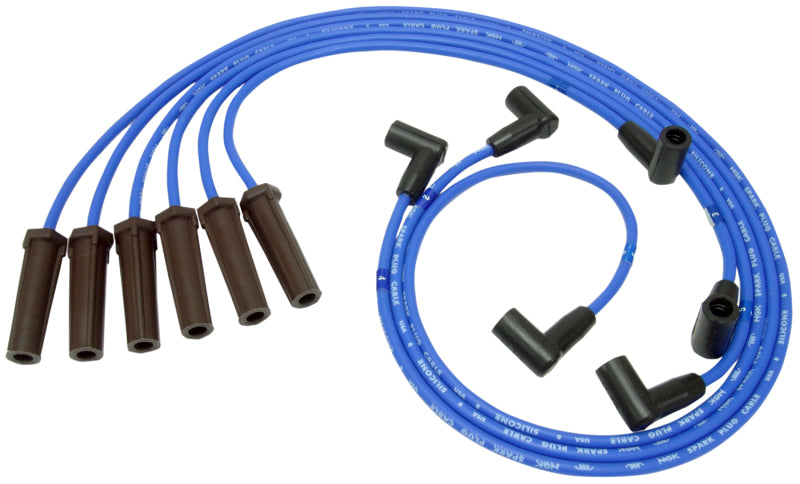 NGK Buick Park Avenue 2005-2001 Spark Plug Wire Set